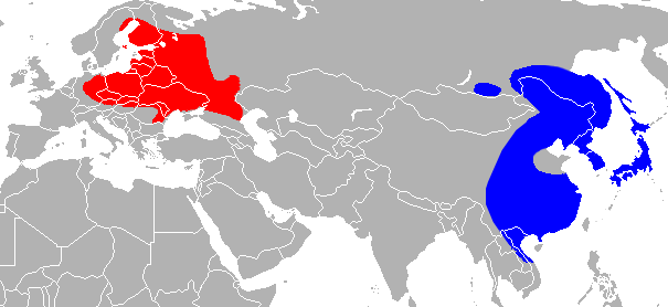 Raccoon Dogs Map